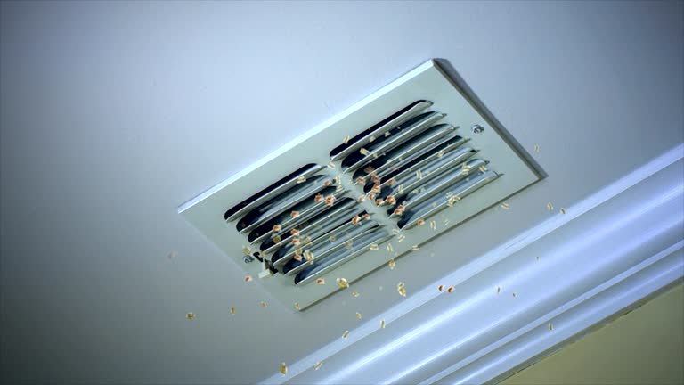 Best Home Air Vent Cleaning  in Galena, IN